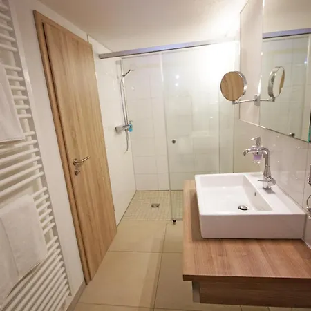 Adler Hotel Bad Friedrichshall