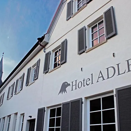 Adler Hotel Bad Friedrichshall