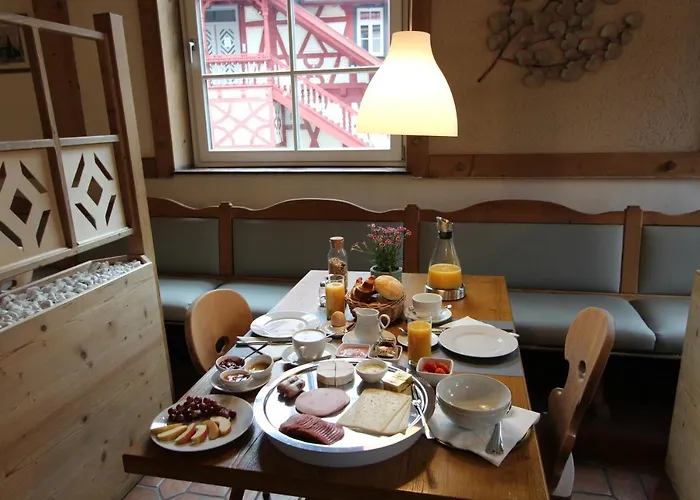 Adler Hotel Bad Friedrichshall