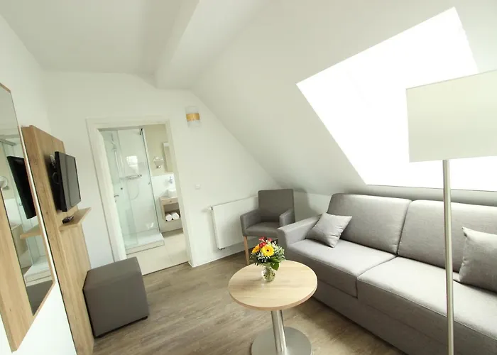 Adler Hotel Bad Friedrichshall