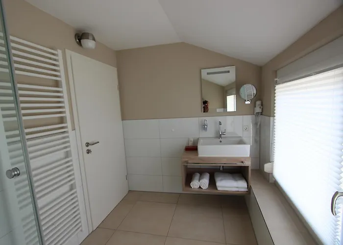 Hotel Adler Bad Friedrichshall