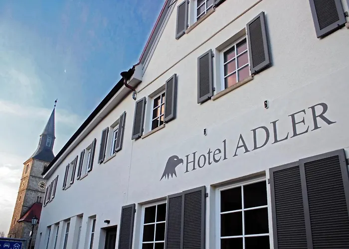 Adler Hotel Bad Friedrichshall